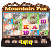 tqtq.com